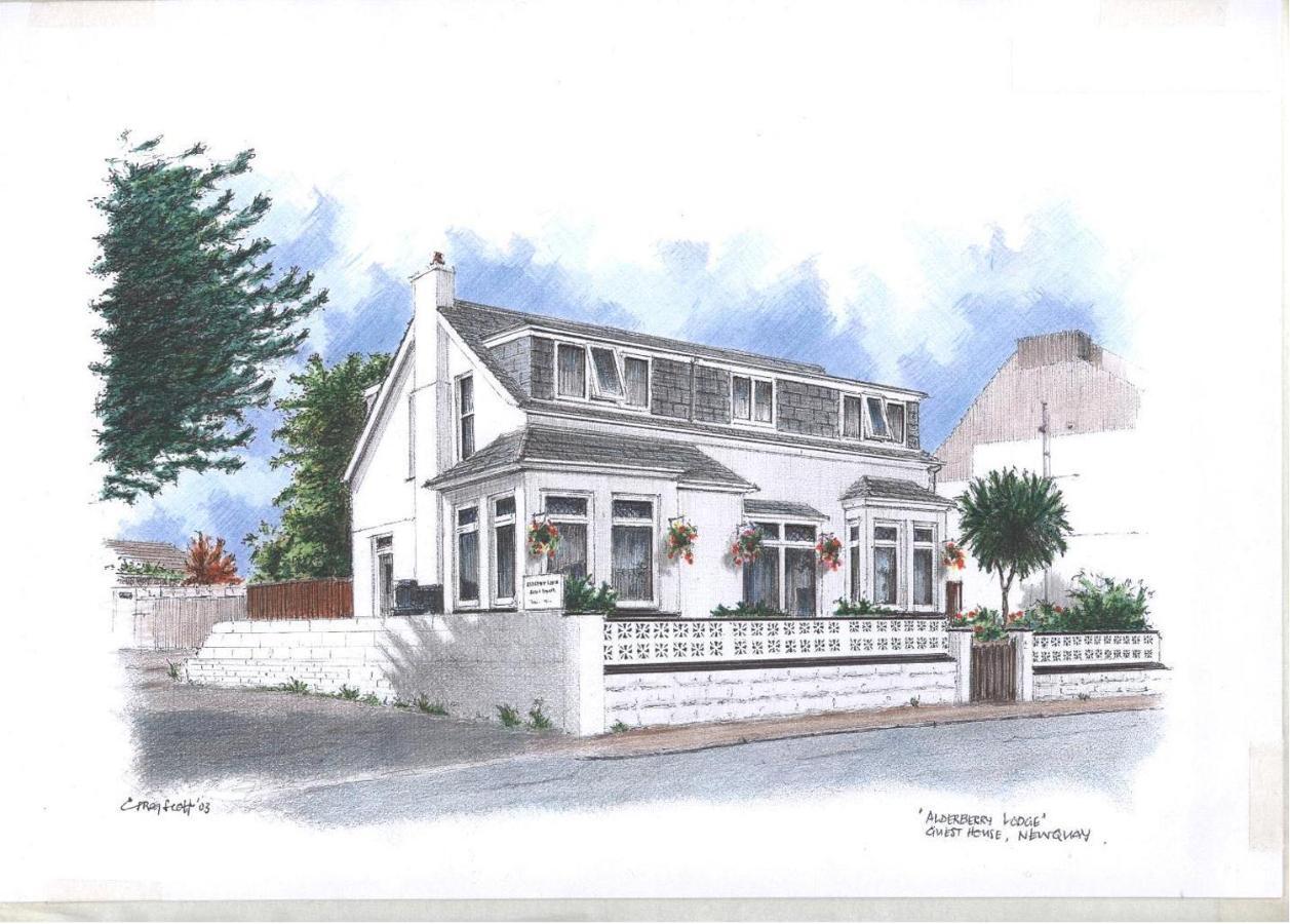 Alderberry Lodge New Quay Dış mekan fotoğraf